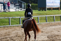 01904 - Shea - 2026 Fall Finale - Sunday September 13th