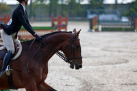 01636 - Shea - 2026 Fall Finale - Sunday September 13th