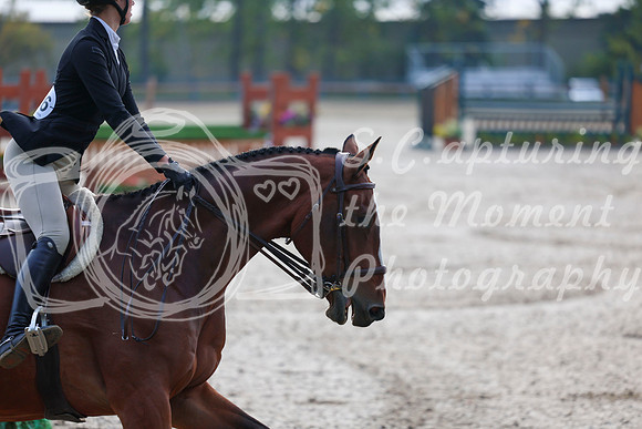 01636 - Shea - 2026 Fall Finale - Sunday September 13th