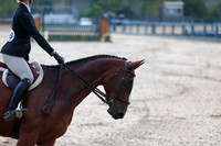 01637 - Shea - 2026 Fall Finale - Sunday September 13th