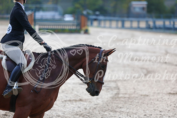 01637 - Shea - 2026 Fall Finale - Sunday September 13th