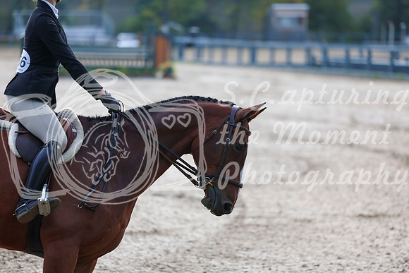 01638 - Shea - 2026 Fall Finale - Sunday September 13th