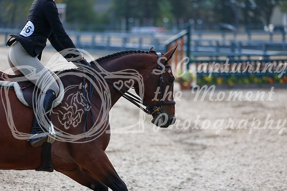 01639 - Shea - 2026 Fall Finale - Sunday September 13th