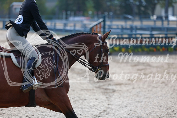 01640 - Shea - 2026 Fall Finale - Sunday September 13th