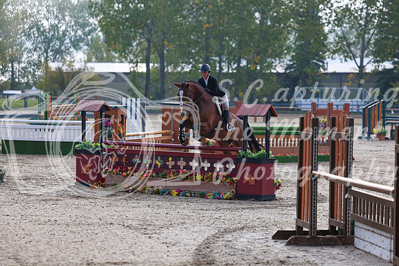 01642 - Shea - 2026 Fall Finale - Sunday September 13th