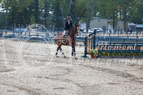 01649 - Shea - 2026 Fall Finale - Sunday September 13th