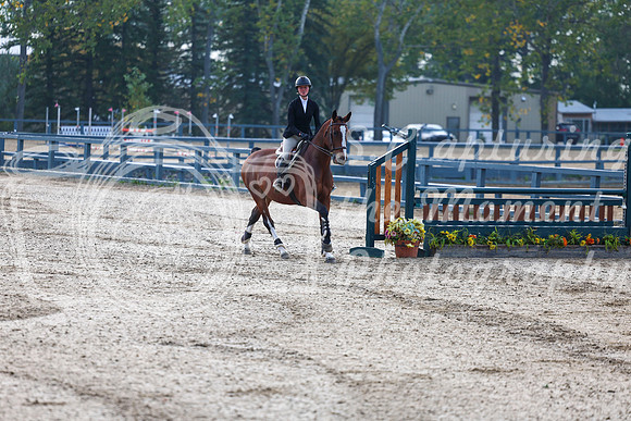 01650 - Shea - 2026 Fall Finale - Sunday September 13th