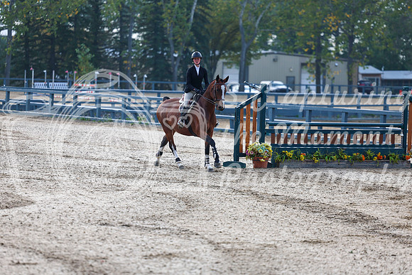 01651 - Shea - 2026 Fall Finale - Sunday September 13th