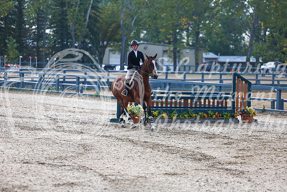 01653 - Shea - 2026 Fall Finale - Sunday September 13th