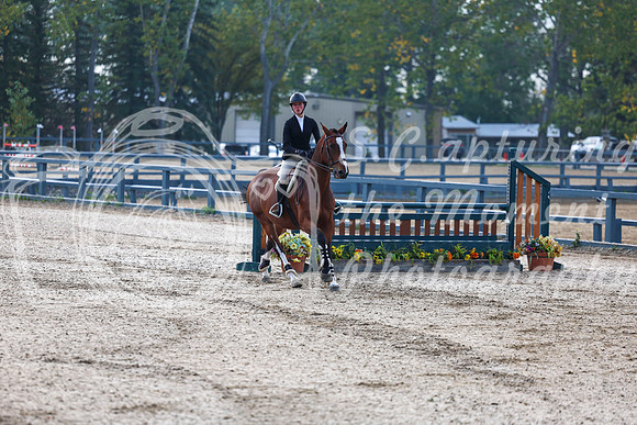 01654 - Shea - 2026 Fall Finale - Sunday September 13th