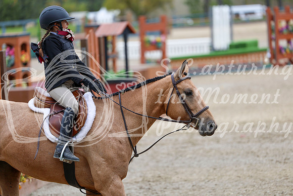 12636 - Elina - 2026 Fall Finale - Sunday September 13th