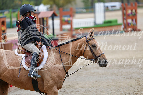 12638 - Elina - 2026 Fall Finale - Sunday September 13th
