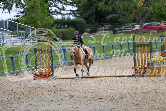 12656 - Elina - 2026 Fall Finale - Sunday September 13th