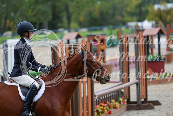 12320 - Elina - 2026 Fall Finale - Sunday September 13th