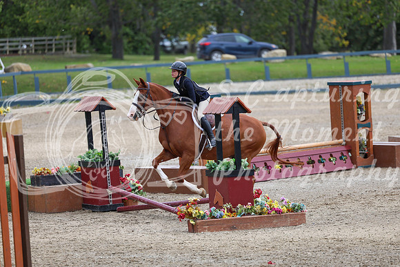 13384 - Elina - 2026 Fall Finale - Sunday September 13th