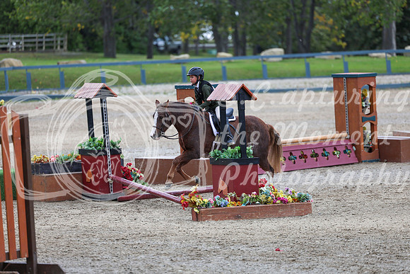 13110 - Elina - 2026 Fall Finale - Sunday September 13th
