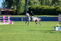 02017 - Shea - 2026 Fall Finale - Sunday September 13th