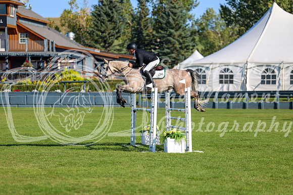 02046 - Shea - 2026 Fall Finale - Sunday September 13th