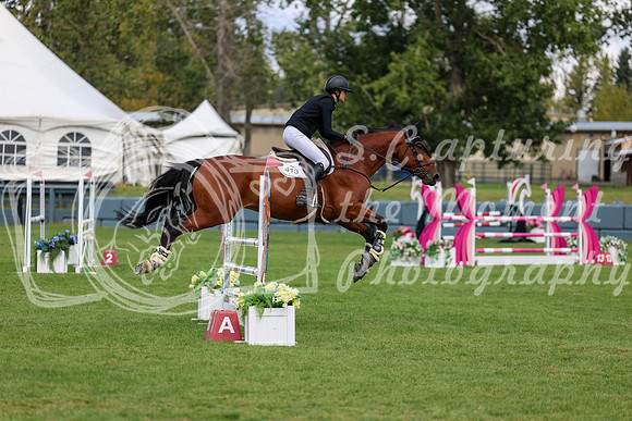 06787 - Shea - 2026 Fall Finale - Sunday September 13th
