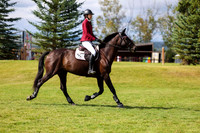 06600 - Shea - 2026 Fall Finale - Sunday September 13th
