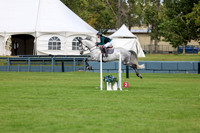 06687 - Shea - 2026 Fall Finale - Sunday September 13th