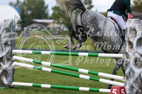 06699 - Shea - 2026 Fall Finale - Sunday September 13th