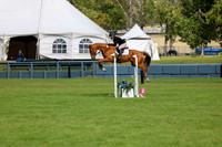 06457 - Shea - 2026 Fall Finale - Sunday September 13th