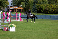 06527 - Shea - 2026 Fall Finale - Sunday September 13th