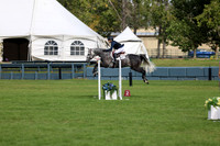 06640 - Shea - 2026 Fall Finale - Sunday September 13th