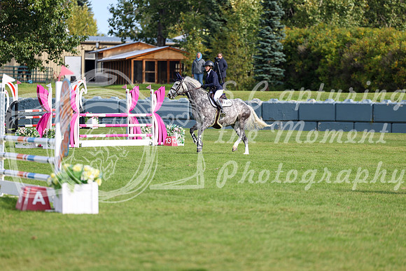 02585 - Shea - 2026 Fall Finale - Sunday September 13th
