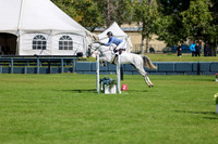 03385 - Shea - 2026 Fall Finale - Sunday September 13th