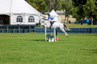 03386 - Shea - 2026 Fall Finale - Sunday September 13th
