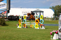 03559 - Shea - 2026 Fall Finale - Sunday September 13th