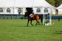 02527 - Shea - 2026 Fall Finale - Sunday September 13th
