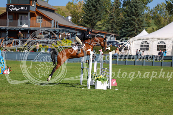 02550 - Shea - 2026 Fall Finale - Sunday September 13th