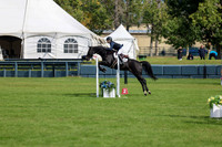 02990 - Shea - 2026 Fall Finale - Sunday September 13th