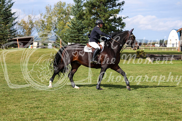 03503 - Shea - 2026 Fall Finale - Sunday September 13th