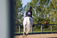 00983 - Mara - 2026 Fall Finale - Sunday September 13th