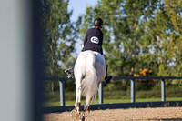 00984 - Mara - 2026 Fall Finale - Sunday September 13th
