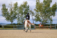 07632 - Mara - 2026 Fall Finale - Sunday September 13th