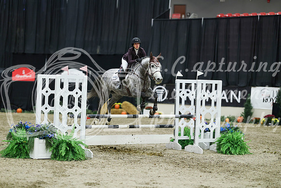 03680 - Mara - 2026 Royal West - Thursday October 22nd