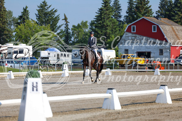 2025 - Dressage Festival - Saturday July 5th - 00118