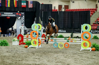 01407 - Mara - 2026 Royal West - Thursday October 15th