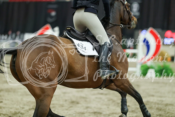 05819 - Mara - 2026 Royal West - Sunday October 18th