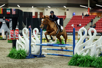 01420 - Mara - 2026 Royal West - Saturday October 2th