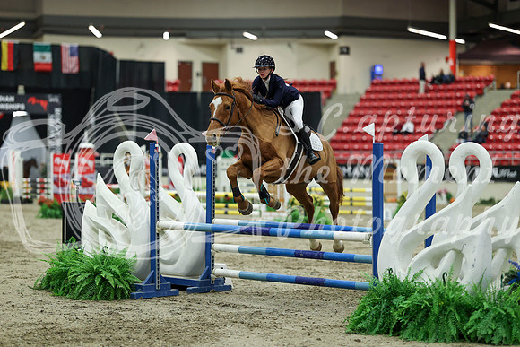 01420 - Mara - 2026 Royal West - Saturday October 2th