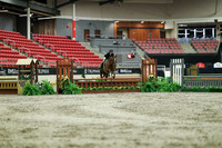 01799 - Mara - 2026 Royal West - Saturday October 17th