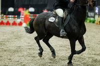 06383 - Mara - 2026 Royal West - Thursday October 15th