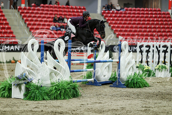 06463 - Mara - 2026 Royal West - Saturday October 24th