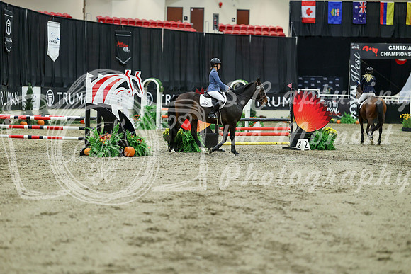 00782 - Mara - 2026 Royal West - Saturday October 2th